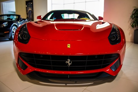 Photo Courtesy of Tommy Murphy