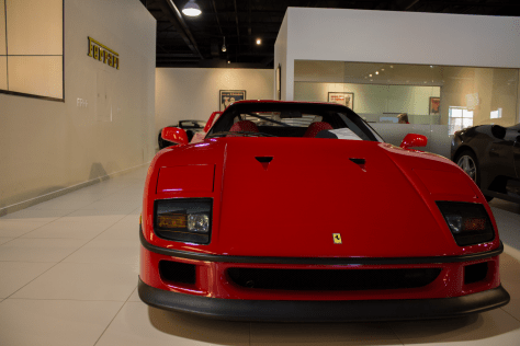 Photo Courtesy of Tommy Murphy